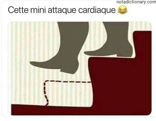 Learn French With Memes: Mini Heart Attack