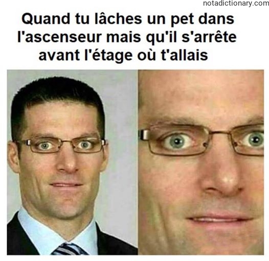 Learn French With Memes: Lâcher Un Pet