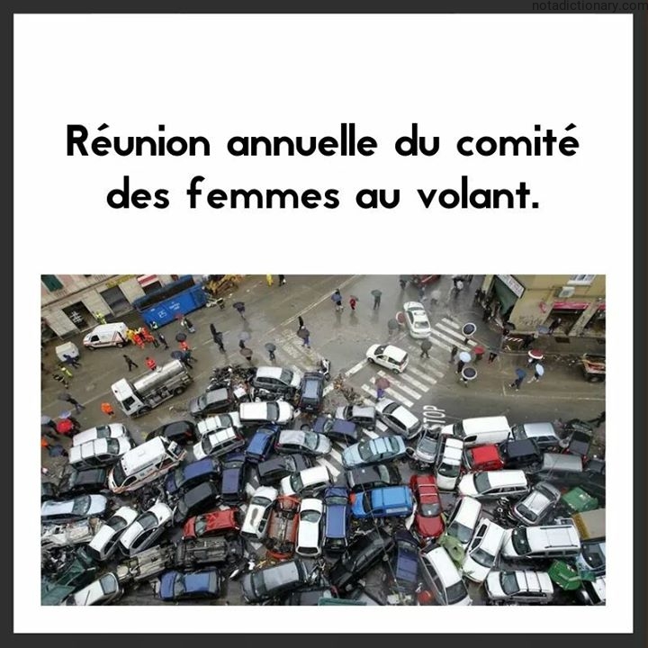 Learn French With Memes: Annual Meeting