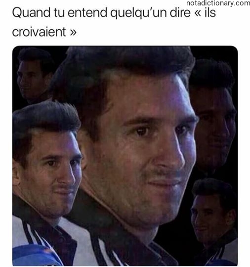 Learn French With Memes: Les Croyaient Erreur