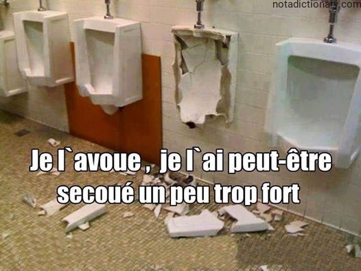 Learn French With Memes: Je L’Avoue