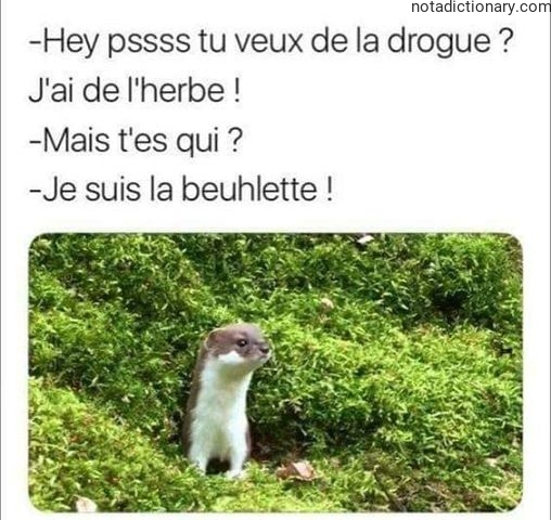 Learn French With Memes: La Beuhlette