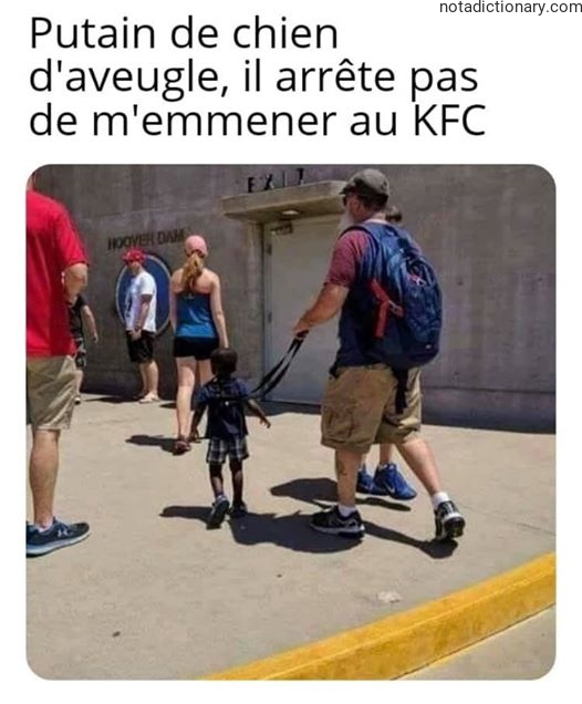 Learn French With Memes: Le Chien d’Aveugle