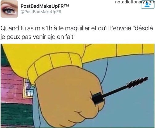 Learn French With Memes: La Frustration du Maquillage