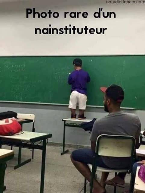 Learn French With Memes: Le Nain Instituteur
