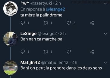 Learn French With Memes: The Palindrome Trick