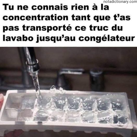 Learn French With Memes: La Concentration