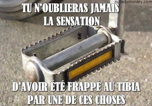 Learn French With Memes: La Douleur Au Tibia