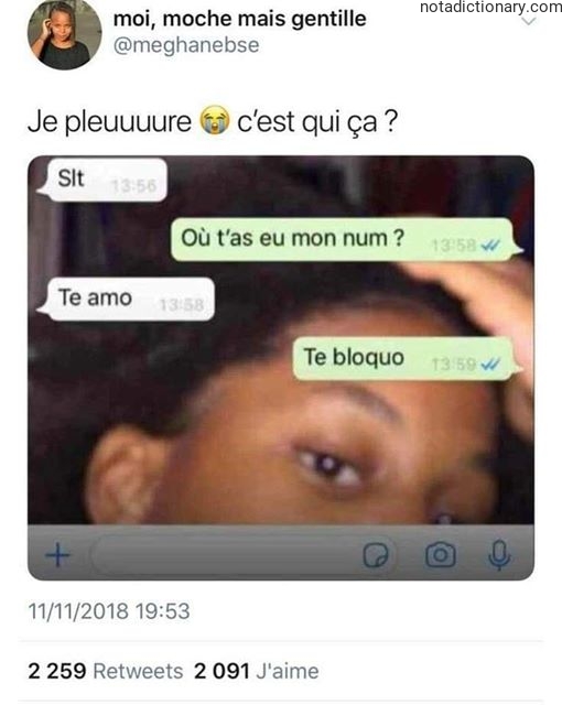 Learn French With Memes: Te Bloquer C’est Qui Ça ?