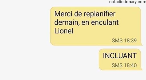 Learn French With Memes: The Word INCULANT