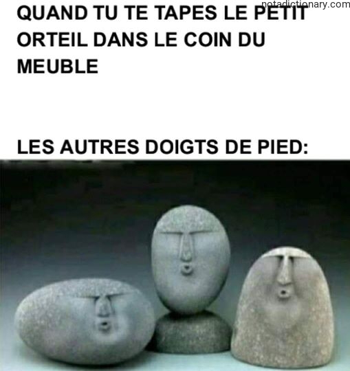 Learn French With Memes: The Stubbed Toe Experience