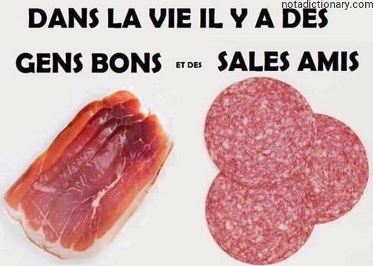 Learn French With Memes: Good vs Bad Friends