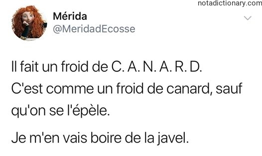 Learn French With Memes: The Cold Duck Phrase