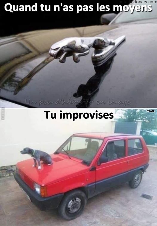 Learn French With Memes: When You Have No Means