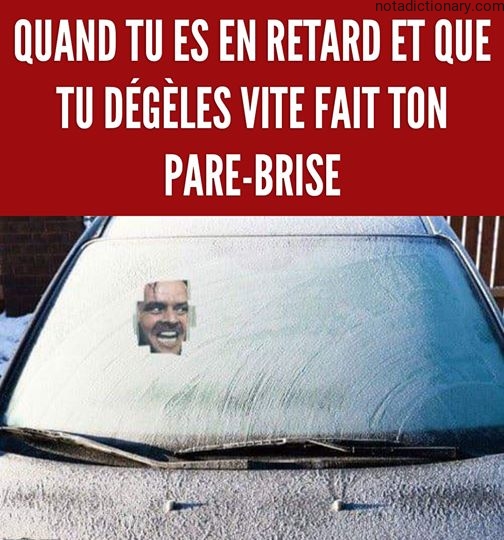 Learn French With Memes: Le Pare-brise Givré