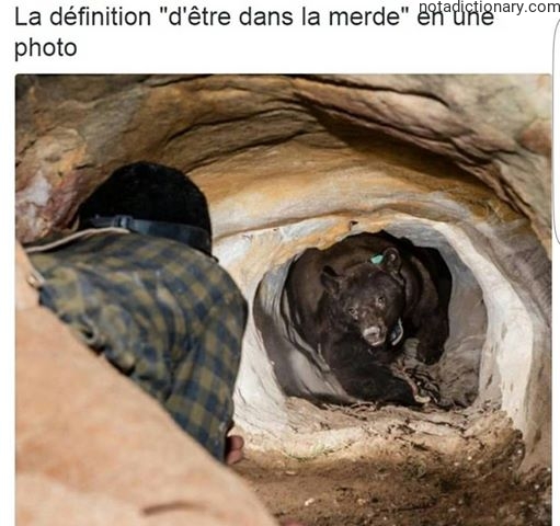 Learn French With Memes: Être Dans La Merde