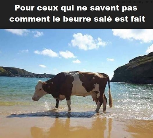 Learn French With Memes: How Salted Butter is Made