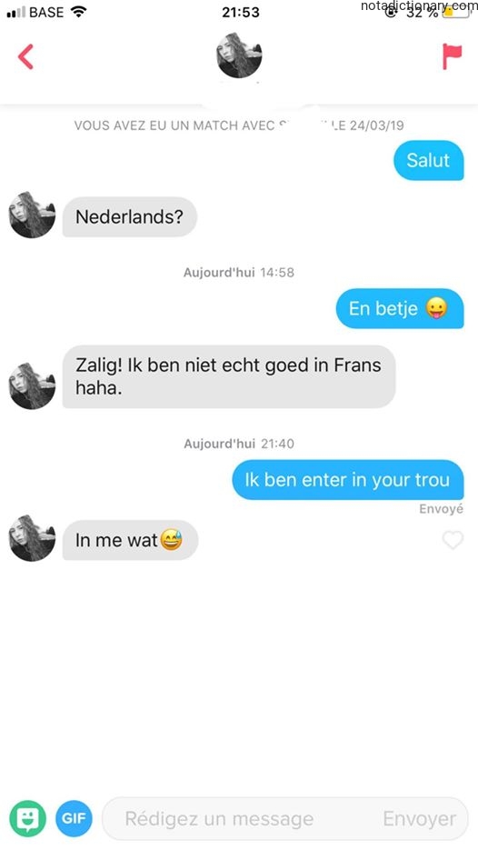 Learn Dutch With Memes: Dutch vs French Mistakes