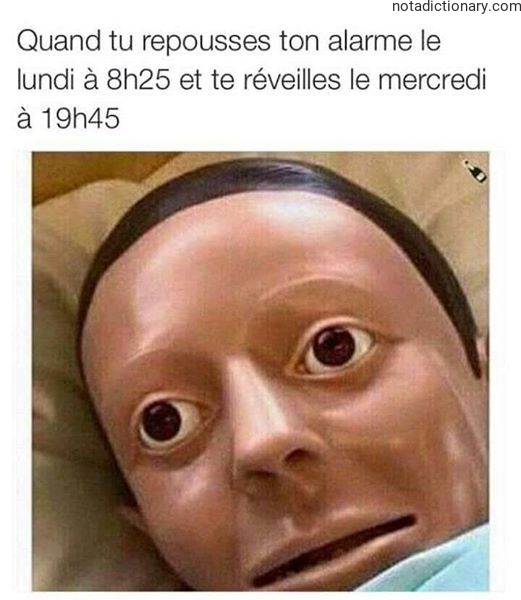 Learn French With Memes: L’Horreur du Lundi