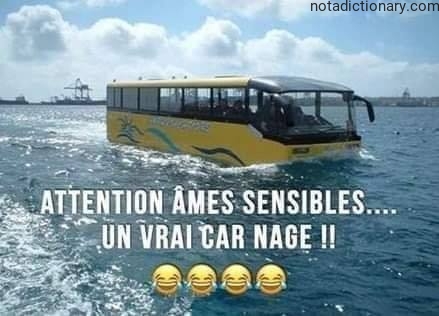 Learn French With Memes: A Swimming Bus