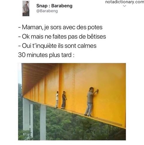 Learn French With Memes: La Fête à la Maison
