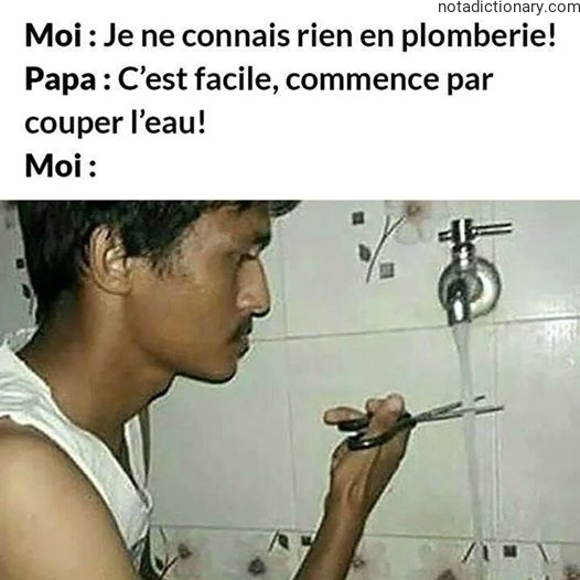 Learn French With Memes: The Plumbing Mistake