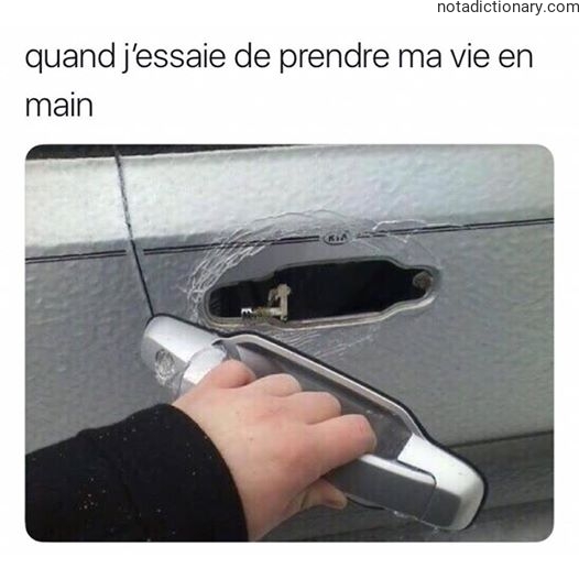 Learn French With Memes: Prendre Ma Vie En Main