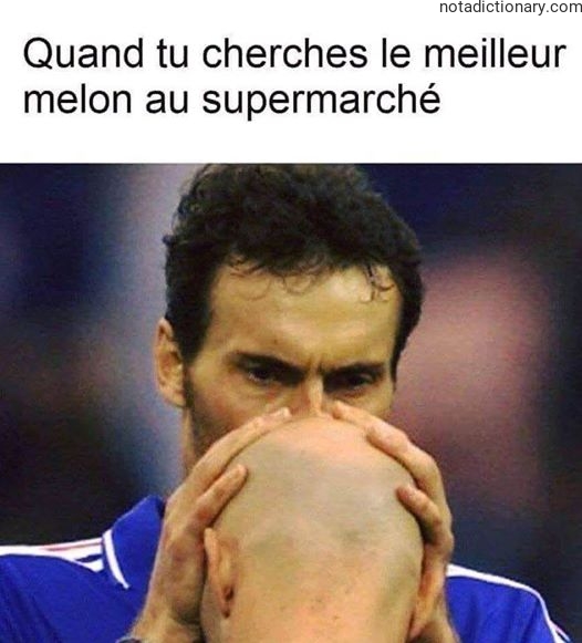Learn French With Memes: Le Meilleur Melon
