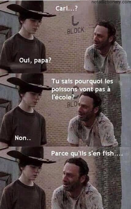 Learn French With Memes: Fish puns Explained