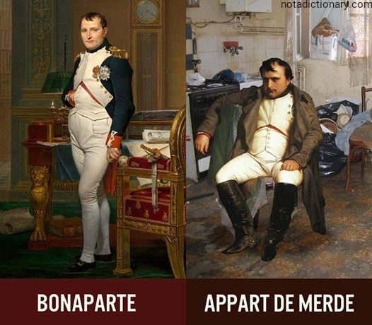 Learn French With Memes: Appart De Merde