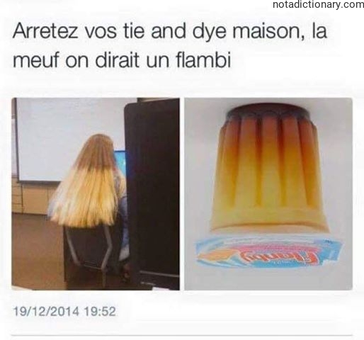 Learn French With Memes: Tie and Dye Hair Fail