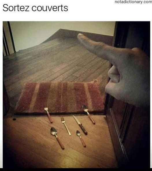 Learn French With Memes: Sortez Couverts
