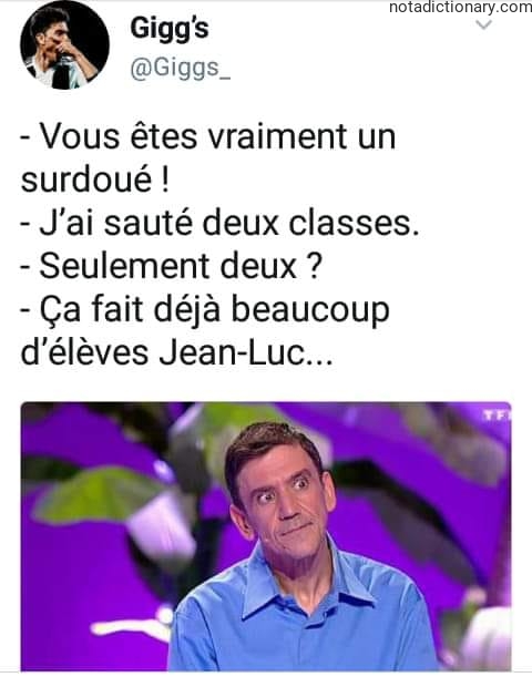 Learn French With Memes: Surdoué and Schooling