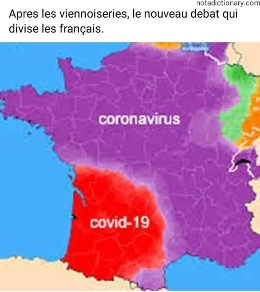 Learn French With Memes: The New Debate Dividing France