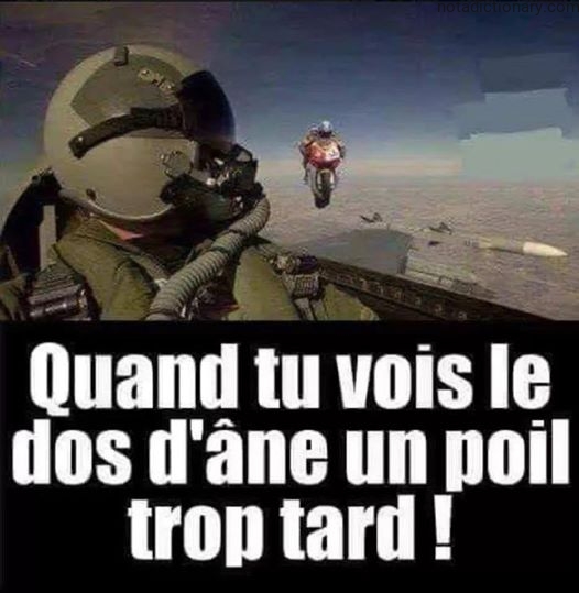 Learn French With Memes: Le Dos d’Ane