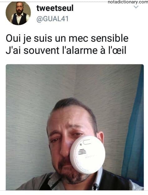 Learn French With Memes: Larmes aux Yeux