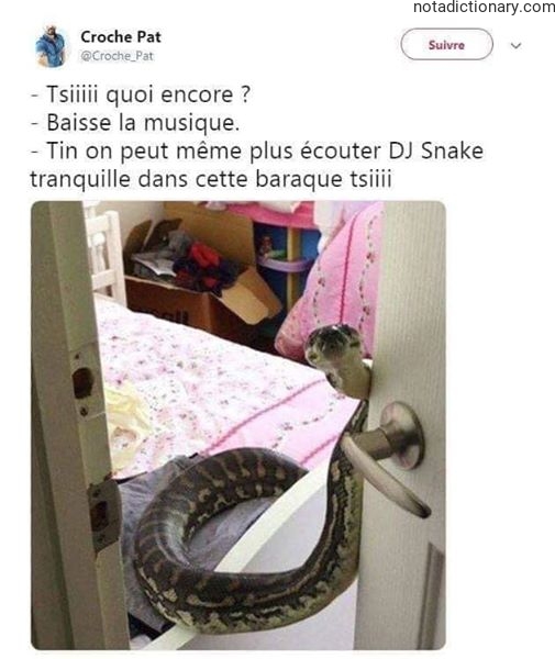 Learn French With Memes: La Musique
