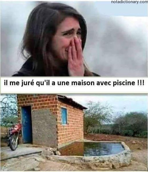 Learn French With Memes: The Broken Promise