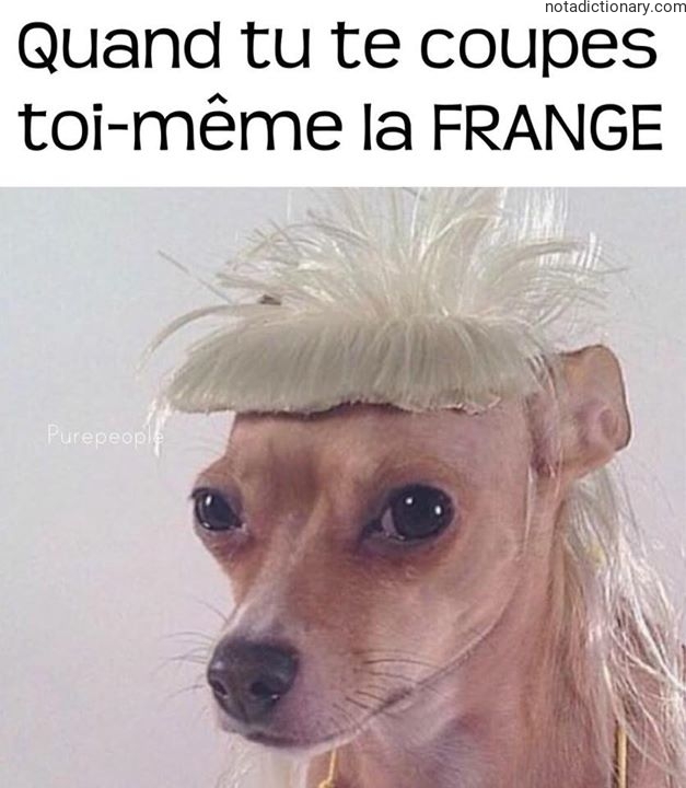 Learn French With Memes: Self-Cutting Bangs