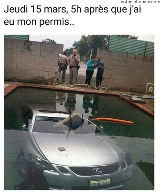 Learn French With Memes: The Permit Disaster