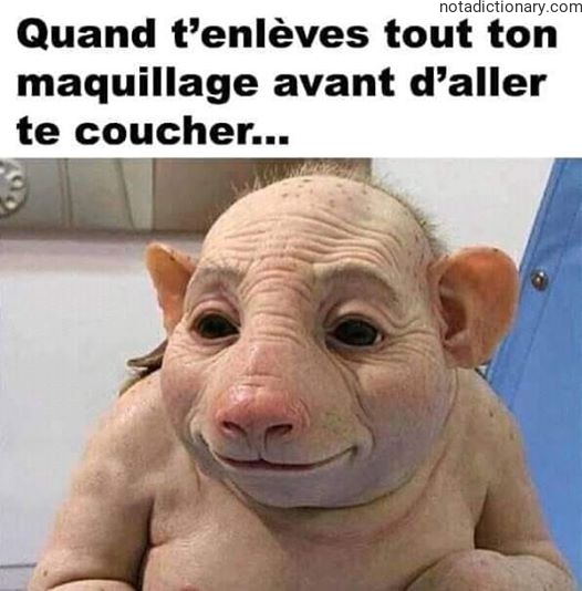 Learn French With Memes: Le Maquillage