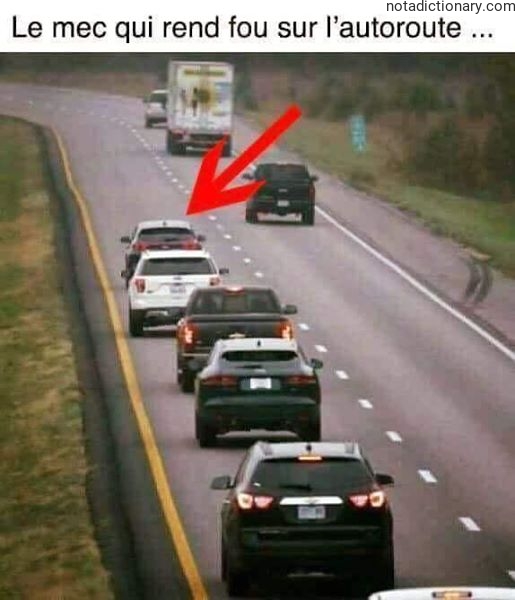 Learn French With Memes: The Highway Guy
