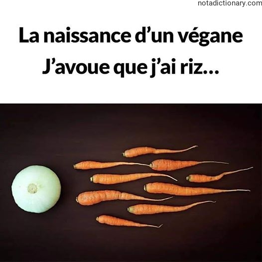 Learn French With Memes: La Naissance d’un Végane