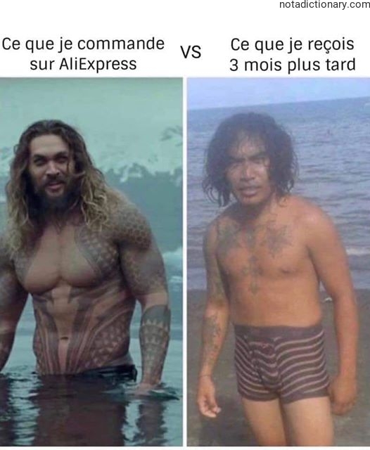 Learn French With Memes: AliExpress Expectations vs Reality