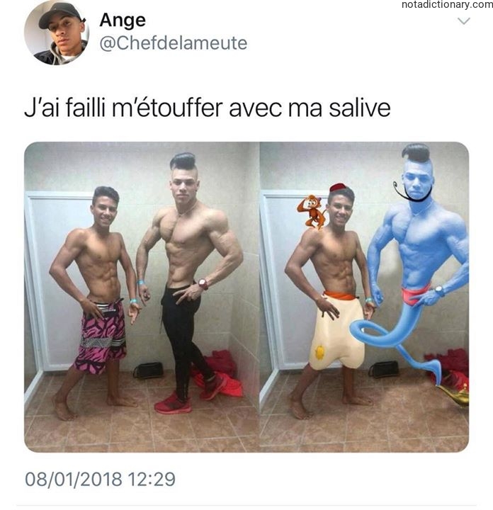 Learn French With Memes: I Almost Choked