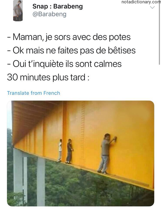 Learn French With Memes: Les Bêtises Explained