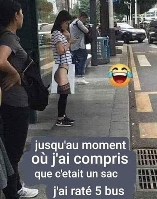 Learn French With Memes: Ratant Des Bus
