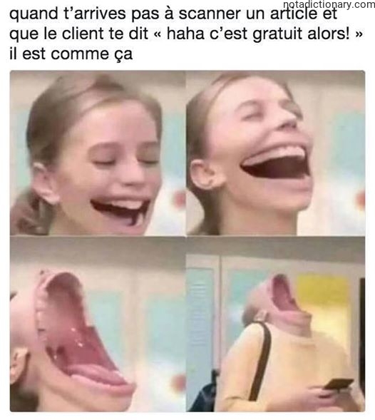 Learn French With Memes: Le Schtroumpf Client