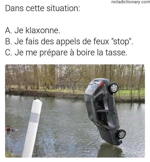 Learn French With Memes: The Car Accident