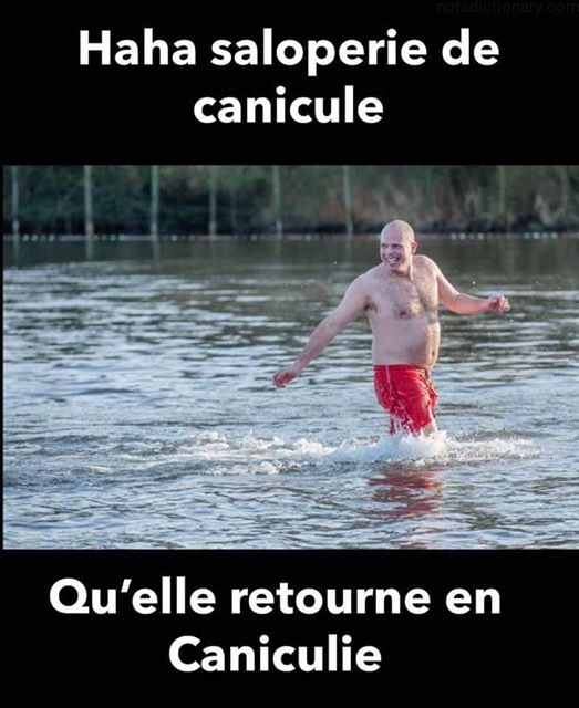 Learn French With Memes: La Saloperie de Canicule